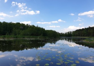 działka na sprzedaż - Sędziejowice, Niecenia