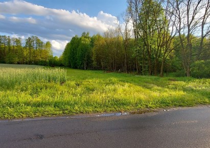 działka na sprzedaż - Sędziejowice, Dobra