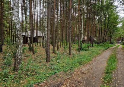 działka na sprzedaż - Ozorków (gw), Sokolniki-Las