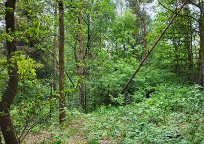 działka na sprzedaż - Aleksandrów Łódzki (gw), Ciężków