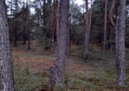 działka na sprzedaż - Widawa, Patoki