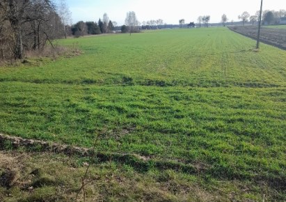 działka na sprzedaż - Widawa, Patoki