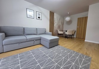 mieszkanie na wynajem - Łódź, Górna, Dąbrowa