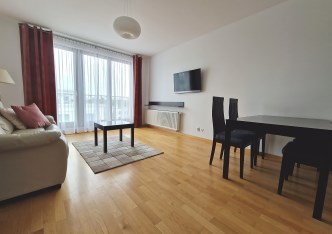 mieszkanie na wynajem - Łódź, Śródmieście