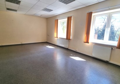 lokal na wynajem - Łódź, Polesie, Karolew, ok. Al. Włókniarzy