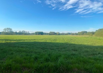 działka na sprzedaż - Zduńska Wola (gw), Janiszewice, Karolew