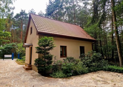 dom na sprzedaż - Dłutów, Piętków